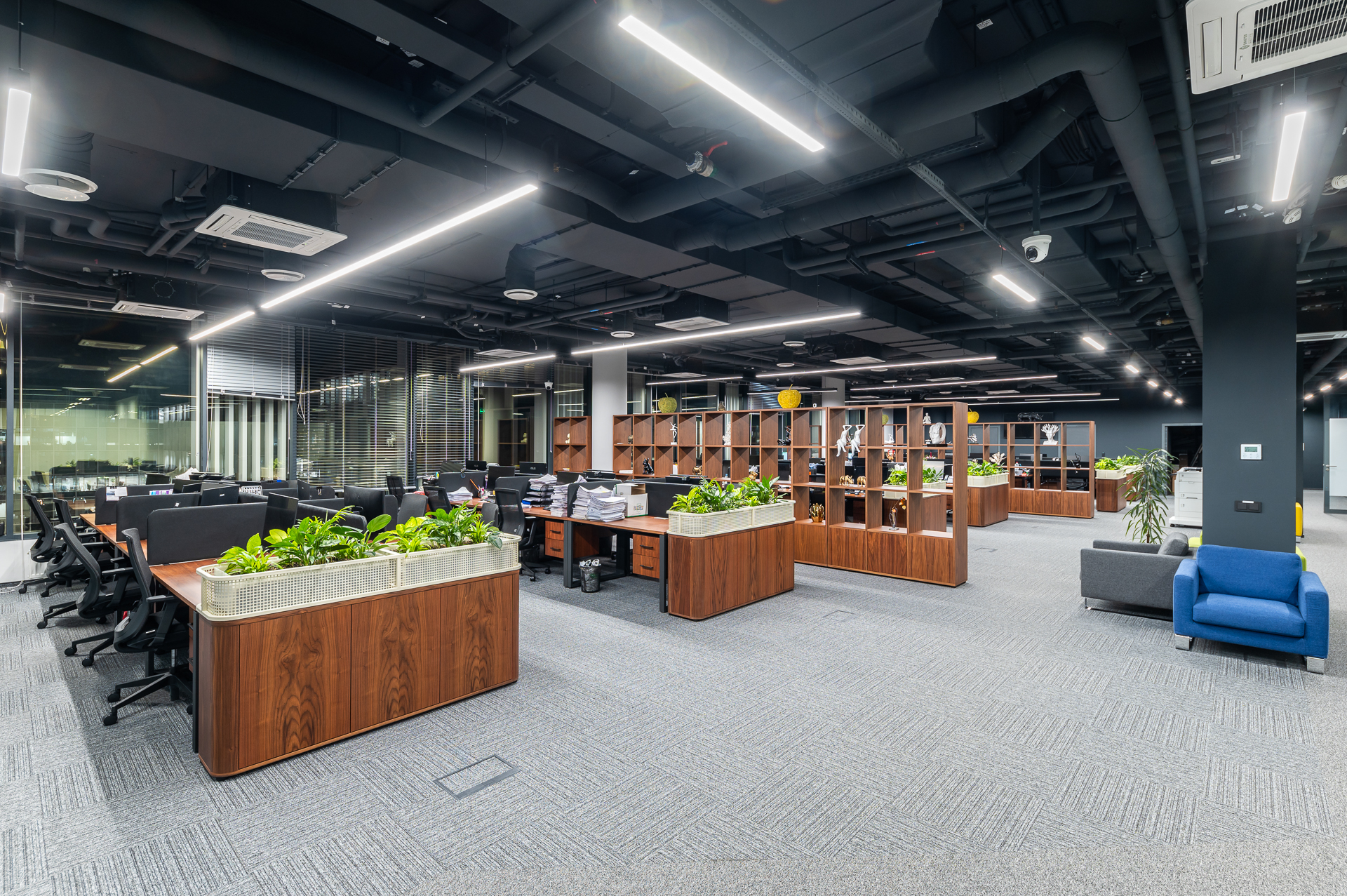 Фото проекта: Ультра Фиш. Изображение № 6