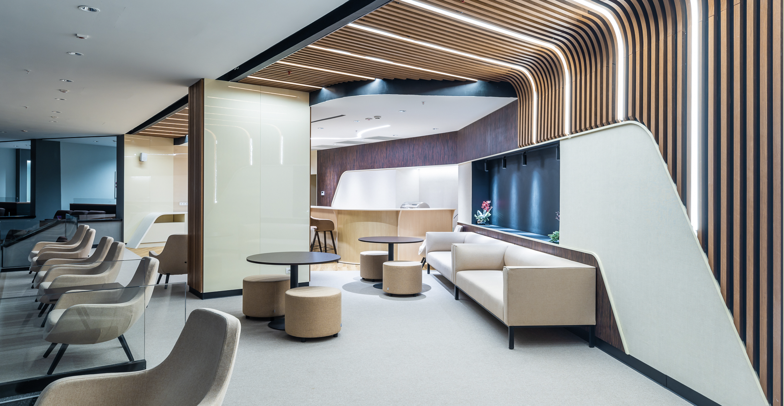 Фото проекта: Проект Live Арена. Изображение № 1